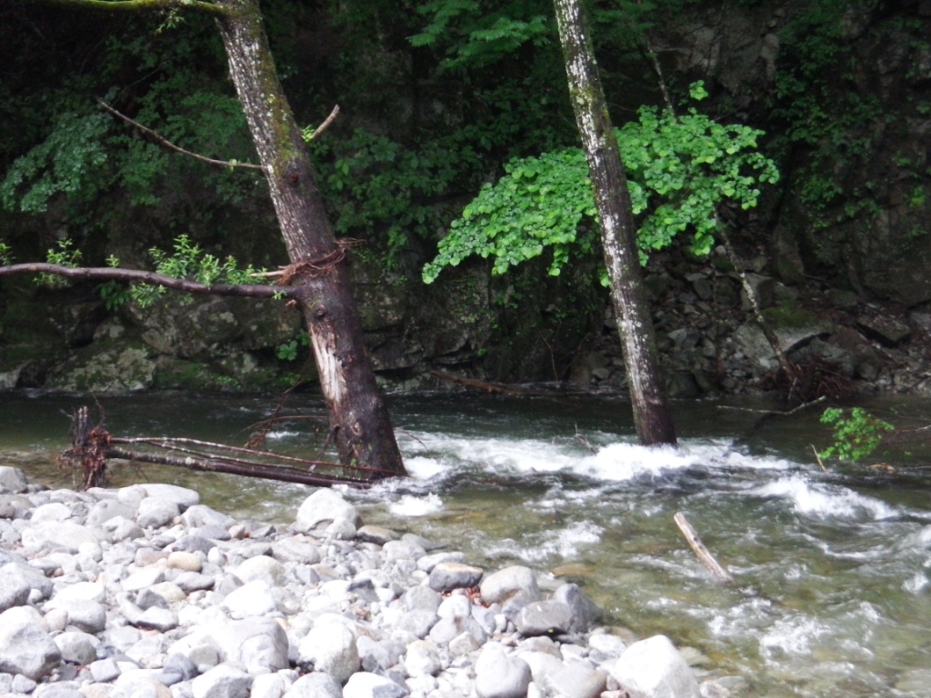 6月29日 雨上がりの笛吹川支流