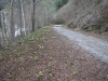 DSCF6423