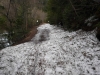 DSCF6428