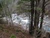 DSCF6432