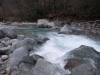 DSCF6445