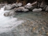 DSCF6452