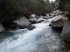 DSCF6461