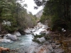 DSCF6463