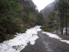 DSCF6465