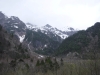 DSCF6468