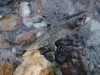 DSCF6481