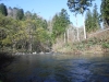 DSCF6530