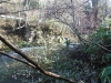 DSCF6533