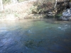DSCF6541