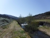 DSCF6549