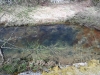 DSCF6553