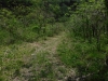 DSCF6562