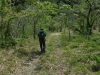 DSCF6564