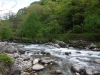 DSCF6566