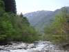 DSCF6568