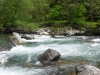 DSCF6575
