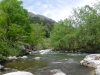 DSCF6577