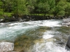 DSCF6578