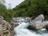 DSCF6590