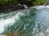 DSCF6592