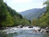 DSCF6593