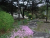 DSCF6609