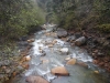 DSCF6622