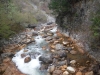 DSCF6623