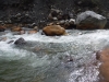 DSCF6639