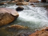 DSCF6650