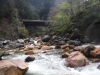 DSCF6651