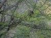 DSCF6676