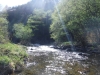DSCF6679