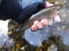 DSCF6681