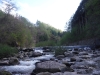 DSCF6688