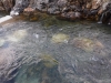 DSCF6708