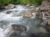 DSCF6915