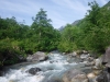 DSCF6916