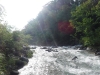 DSCF6917