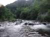 DSCF6939