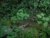 DSCF6947