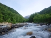 DSCF6950