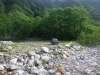 DSCF6961