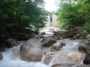DSCF6965
