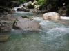 DSCF6976
