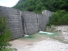 DSCF6981