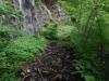 DSCF7001