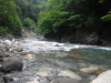 DSCF7029