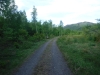 DSCF6748